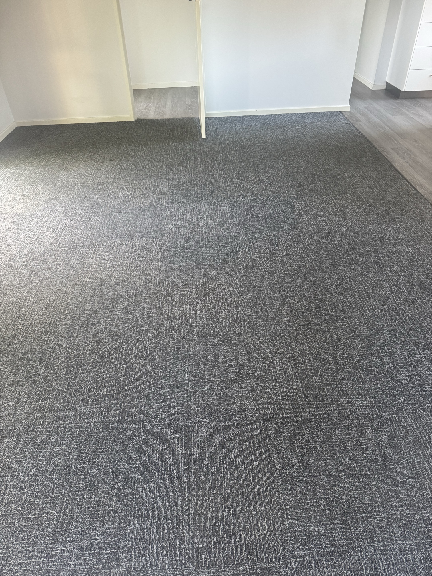 Office carpet after deep clean