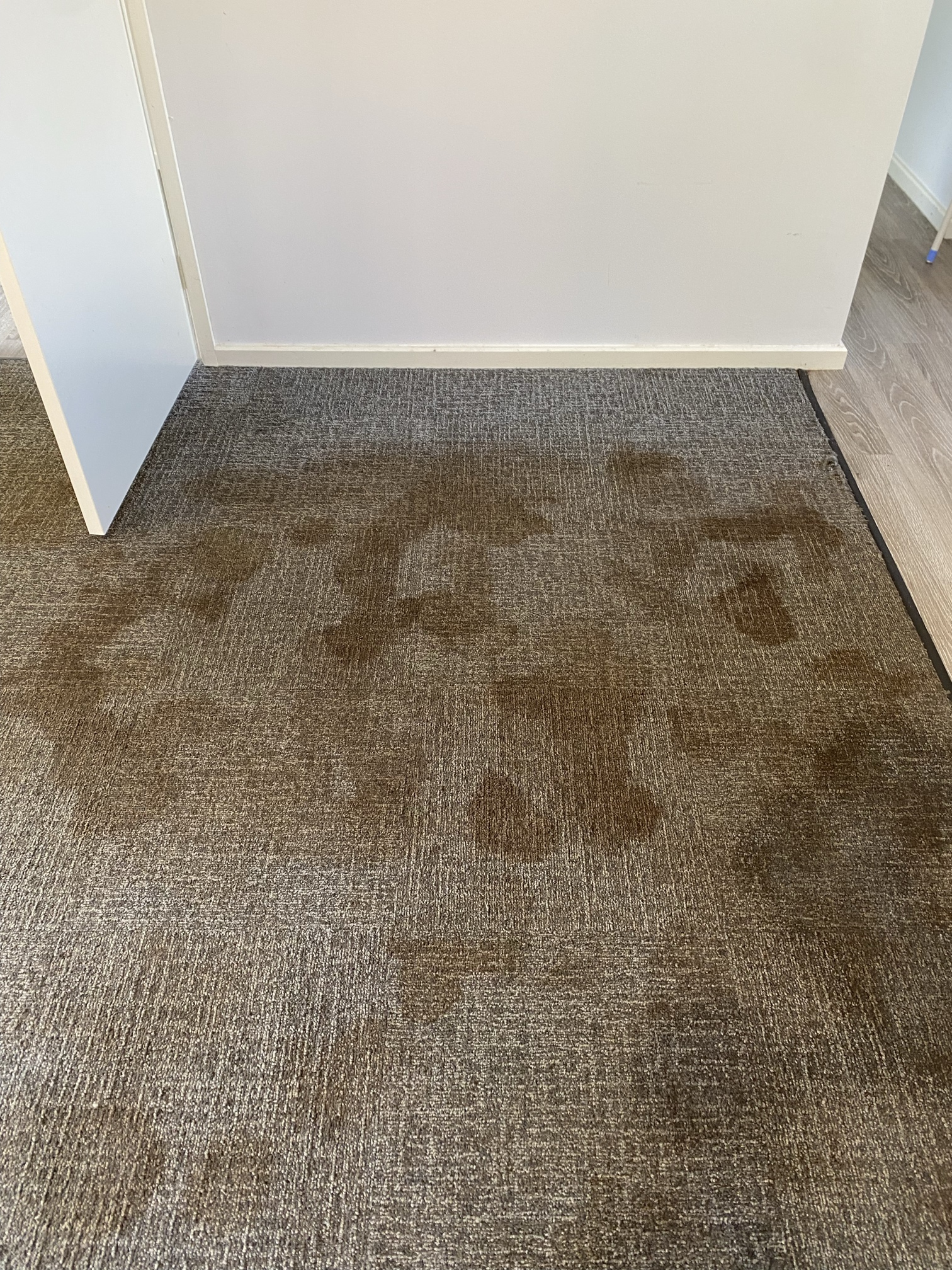 Office carpet before, heavily soiled